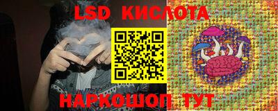 гидра Краснокаменск
