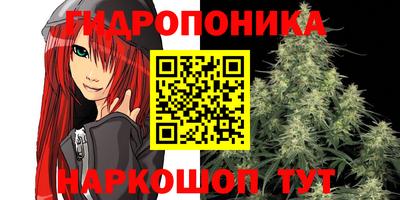 гидра Краснокаменск