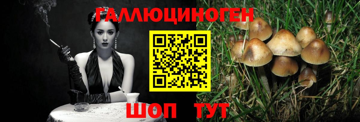 Псилоцибиновые грибы мицелий  Вход с VPN  Изобильный  Псилоцибиновые грибы Psilocybe 