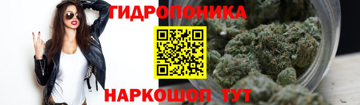 Каннабис Amnesia Изобильный